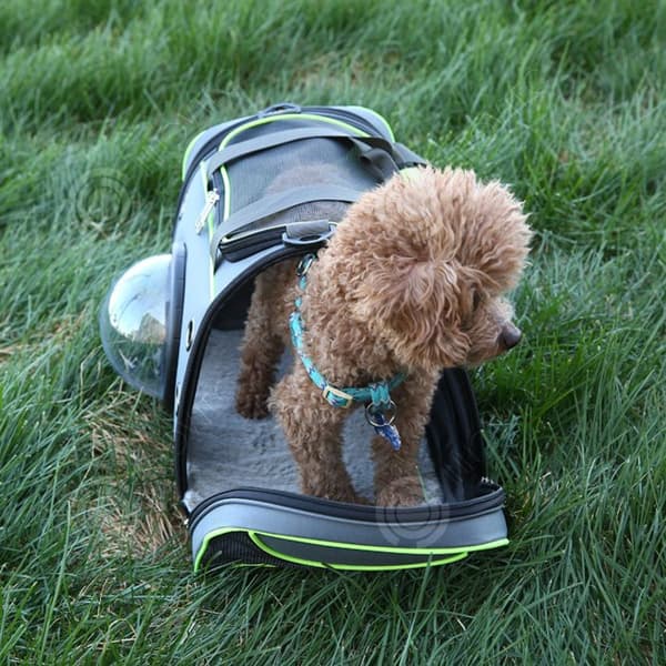 INN® Portable Pet Bag Pet Tote Kapsel Pet Supplies Ryggsäckar