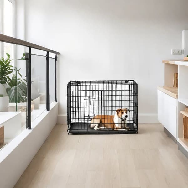 Hundbur, Hopfällbar Hundbox med 2 Dörrar, 122x74.5x80.5 cm, Svart