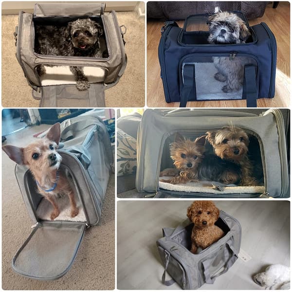 TRANSPORTTASKE Hund Kat Rejsebærer