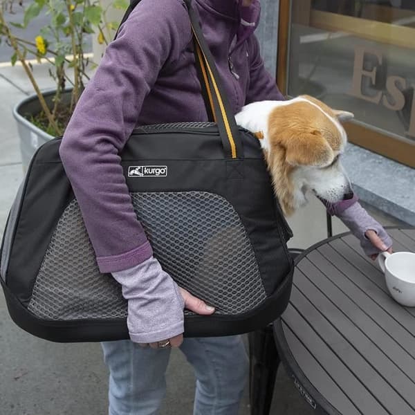 Kurgo Explorer Bärare för hundar och katter upp till 9 kg