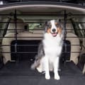 Miniatyrbild 1 av 4: PetSafe Happy Ride - Metal Dog Gate