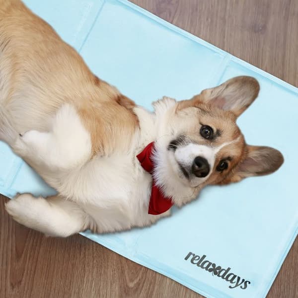 Relaxdays Kylmatta för hund, H x B: 50 x 90 cm, självkylande madrass, gel, för dina djur, cyan
