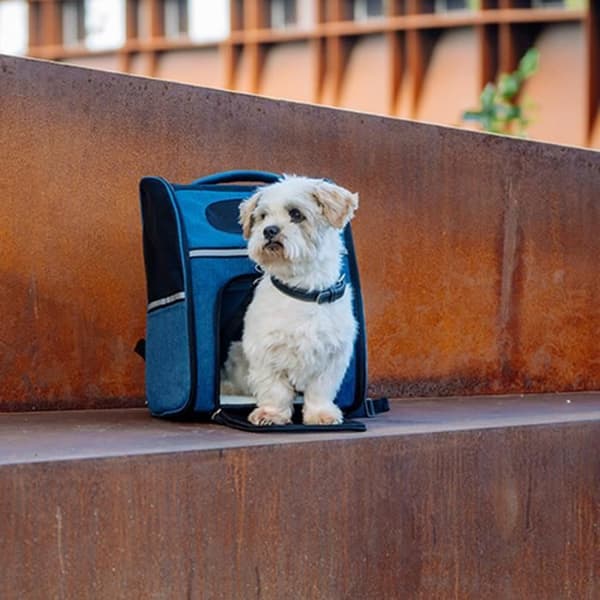 Transportväska - Nobby Pet - Rana - Hållbar mikrofiber - 32x25x42 cm - För liten hund