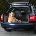 Miniatyrbild 2 av 2: TRIXIE Bil Dog Guard Svart