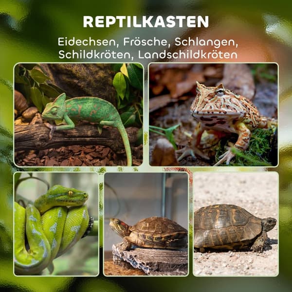 Terrariumi, matelijat, 45x45x60 cm, Musta