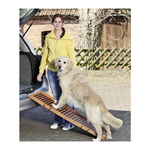 GANGWAY CAR RAMP 120cm x 30cm x 6cm