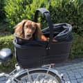 Miniatyrbild 2 av 4: TRIXIE Pet Bike Bakkorg 29x49x60 cm Svart