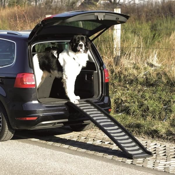 TRIXIE Ramp - 39 x 160 cm - Fällbar - För hundar