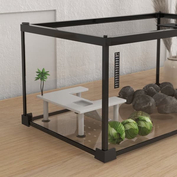 Rootz Reptile Box -avelsbehållare - Terrarium - Hus - enkel observation - 50 cm x 30 cm x 25 cm