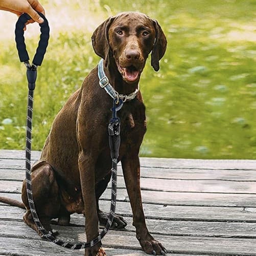 Hundkoppel med Reflex / Koppel för Hund - 5m