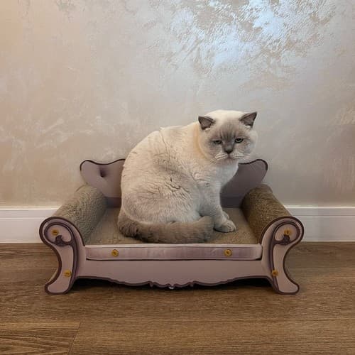 Klösbräda för Katt - Till Soffa