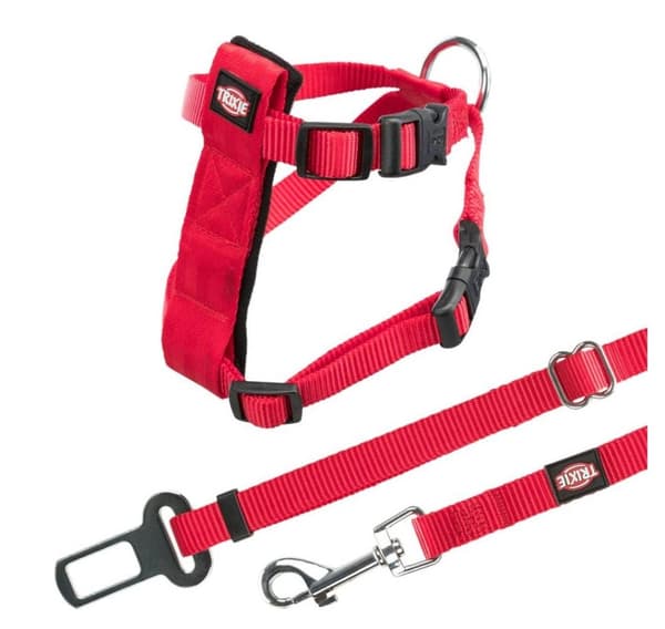 Bilsele för katter, 20–50 cm/15 mm, röd