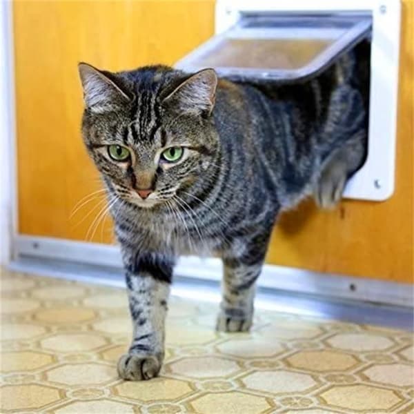 1 st kattlucka för katthund storlek L (23,5 * 25 * 5,3 cm)