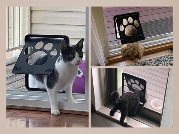 Hunddörr kattlucka ingång