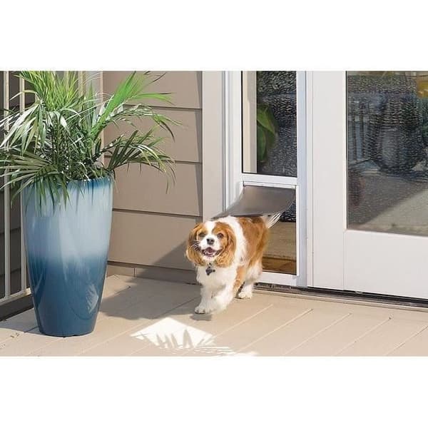 PetSafe - Staywell Heavy Duty aluminium kattlucka för hundar och stora katter, låssystem, robust, isolerad - storlek M