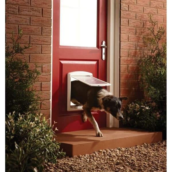 Staywell Hund/Kattdörr - PETSAFE - Vit - Storlek M
