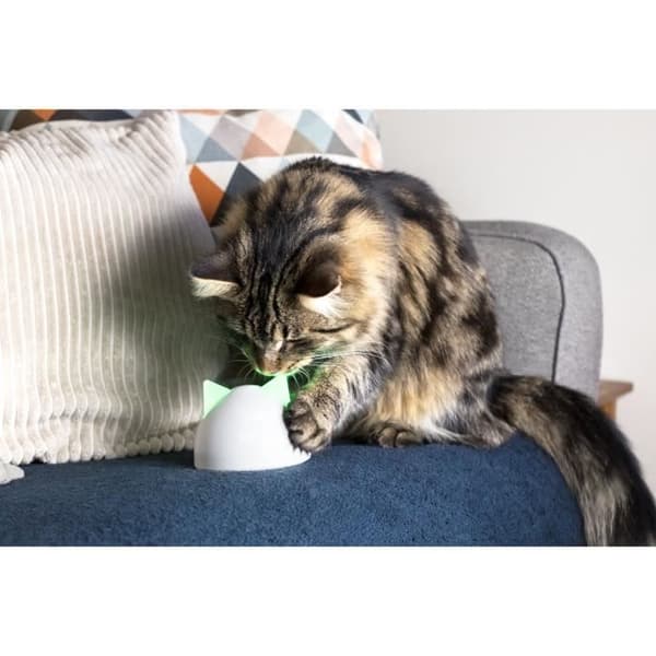 Sure Petcare Hub - Valkoinen - Yhteensopiva Sure Petcare Connect -tuotteiden kanssa (Tallentaa jopa 10 Connect-tuotetta)