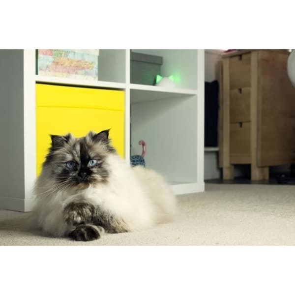 Sure Petcare Hub - Valkoinen - Yhteensopiva Sure Petcare Connect -tuotteiden kanssa (Tallentaa jopa 10 Connect-tuotetta)