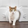 Miniatyrbild 1 av 6: Kattpassage - PETSAFE - KATTGÅNG™ - Vit