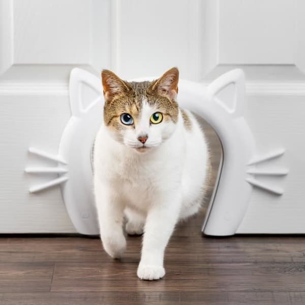 Kattpassage - PETSAFE - KATTGÅNG™ - Vit