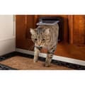 Miniatyrbillede 3 af 6: SUREFLAP DualScan Chatiere har en hvid chip