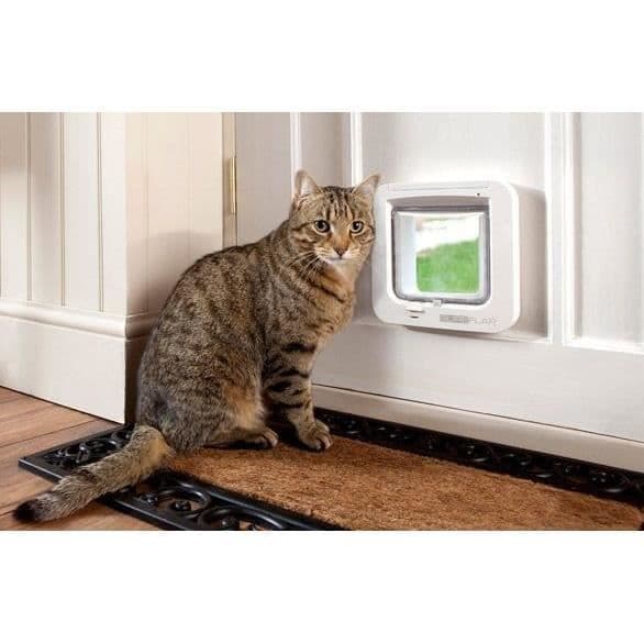 SUREFLAP Chatiere har ett vitt chip