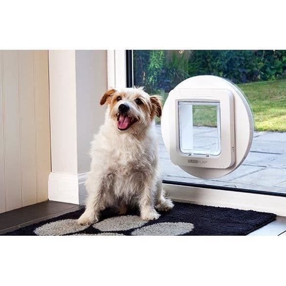 SUREFLAP Stor kattlucka med mikrochip - Vit - 178 mm x 170 mm (Rymder upp till 32 mikrochip)