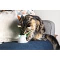 Pikkukuva 5 / 6: Sure Petcare Hub - Valkoinen - Yhteensopiva Sure Petcare Connect -tuotteiden kanssa (Tallentaa jopa 10 Connect-tuotetta)
