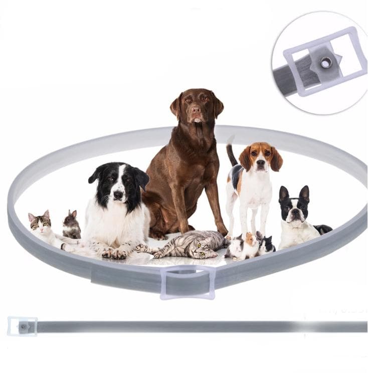 Fästing och lopp halsband för Hund och Katt