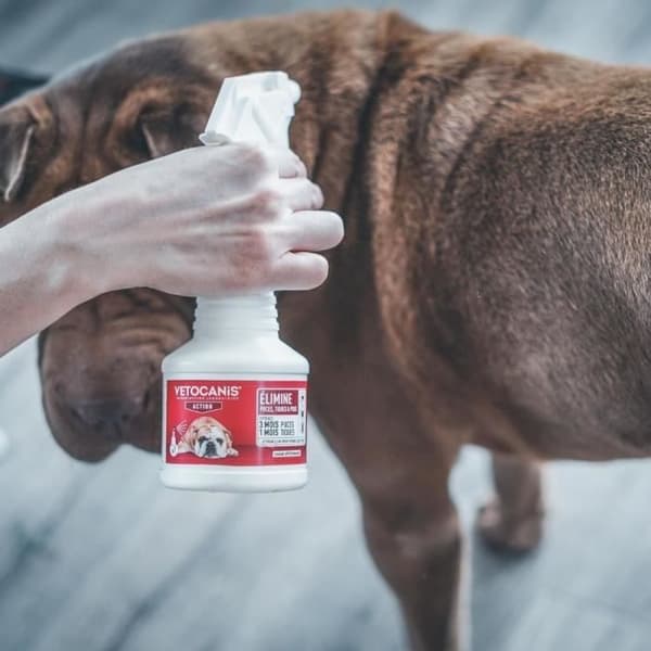 Fipronil lopp- och fästingspray - VETOCANIS - 2,5 mg för katter och hundar - 250 ml