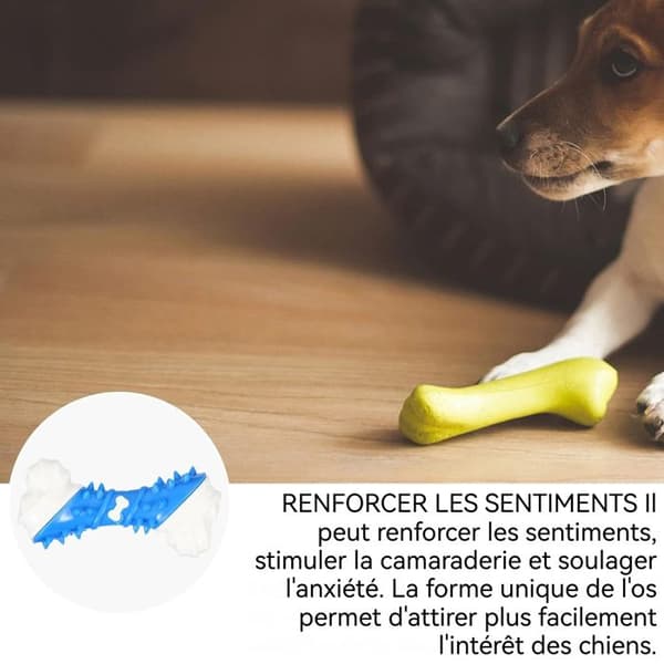 Hundeleksak INN® Tandskydd för molarhundar, kattspel, slitstarkt mot hundbetare, blå vit, liten, söt, mjuk