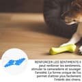 Miniatyrbild 4 av 4: Hundeleksak INN® Tandskydd för molarhundar, kattspel, slitstarkt mot hundbetare, blå vit, liten, söt, mjuk