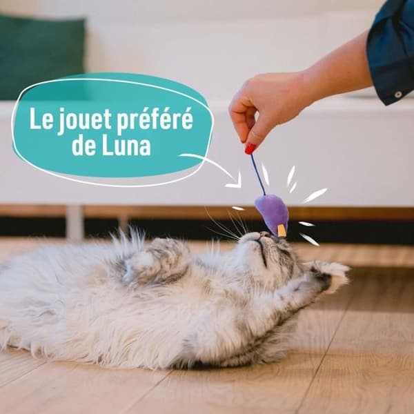 7 leksaker för katt - AIMÉ