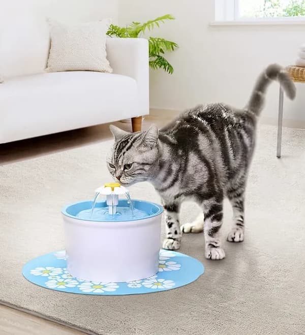Lollanda Rundvandsfontæne til kæledyr – drikkefontæne til kat og hund, 1,6L