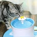 Miniatyrbillede 5 af 7: Lollanda Rundvandsfontæne til kæledyr – drikkefontæne til kat og hund, 1,6L