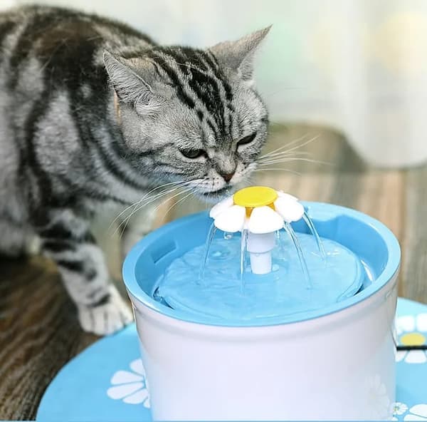 Lollanda Rundvandsfontæne til kæledyr – drikkefontæne til kat og hund, 1,6L