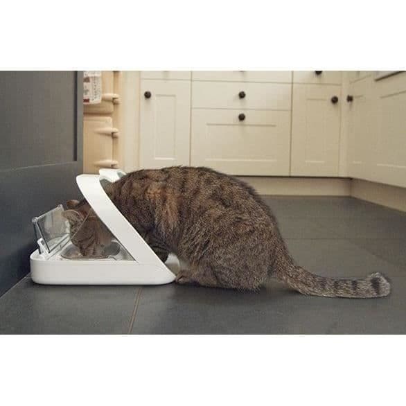 SUREFEED Mikrochip Foder/Kibble Dispenser - Hvid (Enkelt Skål, Dobbelt Skål, Måtte & Etiket)