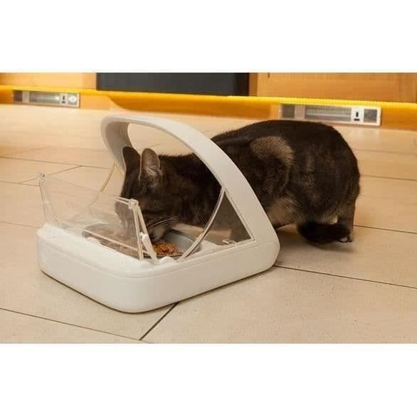 SUREFEED Mikrochip Foder/Kibble Dispenser - Hvid (Enkelt Skål, Dobbelt Skål, Måtte & Etiket)