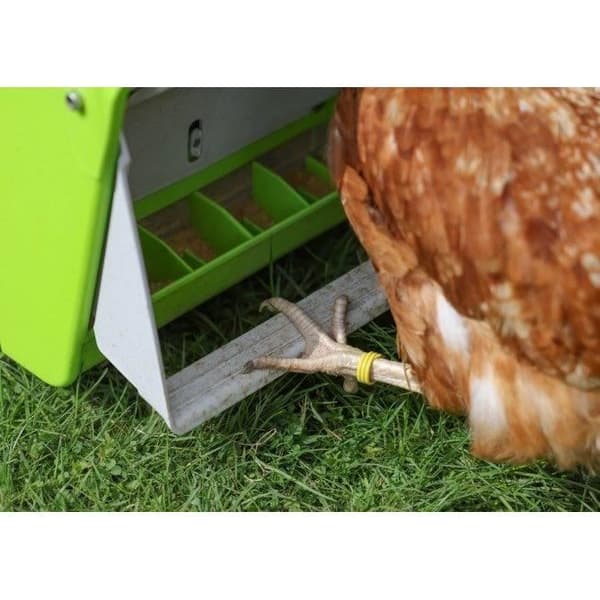 Automaattinen ruokinta-automaatti - KERBL - SmartCoop - 7,5 kg - Suojaläppä - Vihreä