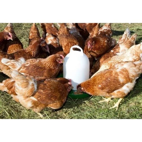 Plastmatare för kyckling - KERBL - 24 cm - Ø30 cm - 2,5 kg - Vit/Grön