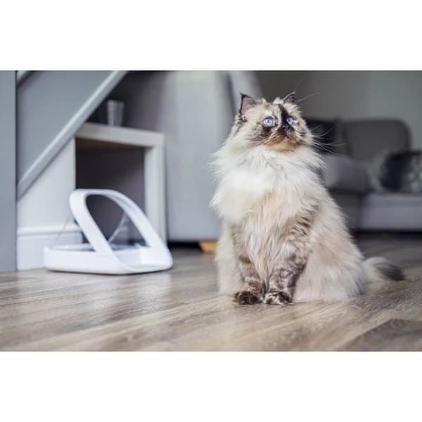 Connect Matare - Vit - För katter