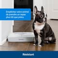 Miniatyrbillede 3 af 5: Automatisk foderautomat - PETSAFE - 2 måltider - BPA-fri plastik - 300 g kapacitet - Justerbar timer