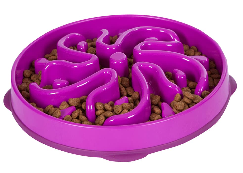 Outward Hound Fun Feeder Lila