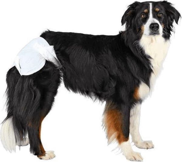 TRIXIE - Bleer til hunde - XL