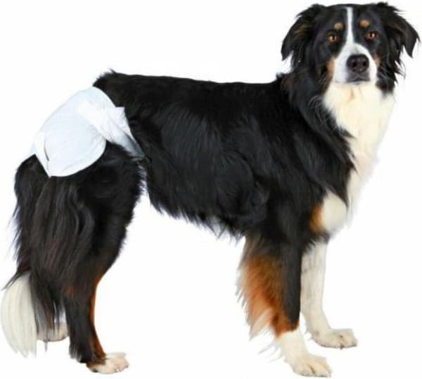 TRIXIE - Bleer til hunde - XL