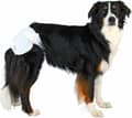Miniatyrbillede 2 af 9: TRIXIE - Bleer til hunde - XL