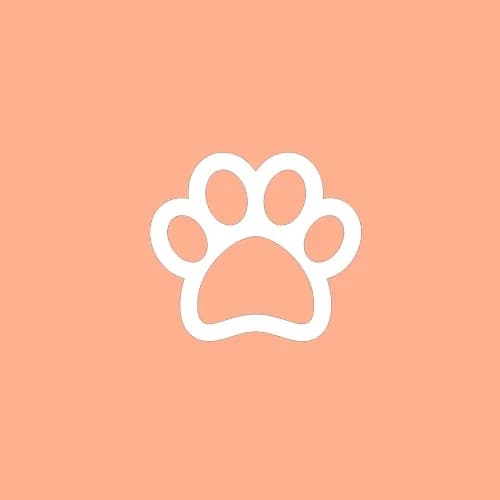 Here is the translation of the provided text into Swedish:,Orange, S