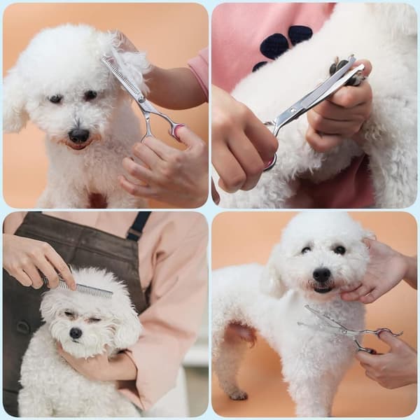 Hundsax-set med trimsax, effileringssax, kam, Böjd sax, rak sax och nagelklippare，Silverrosa