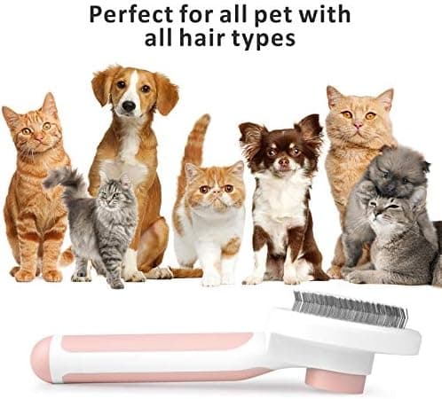 Självrengörande Slicker Brush för hund och katt tar bort underull