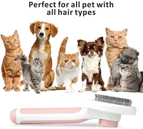 Självrengörande Slicker Brush för hund och katt tar bort underull